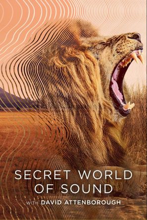 Affiche de Secret World of Sound with David Attenborough